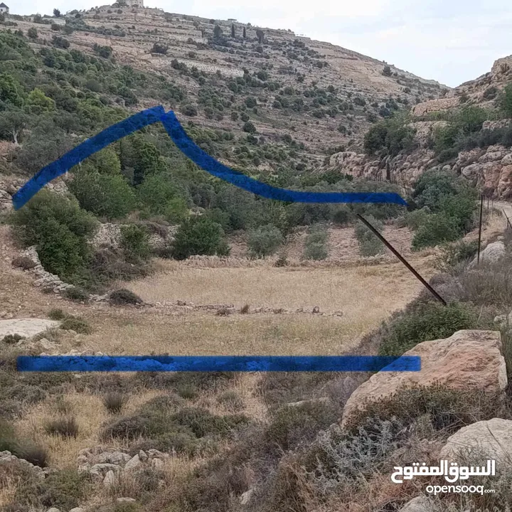 ارض زراعيه للبيع