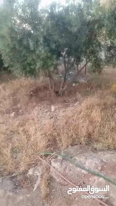 بيت للبيع في قريه دليله المطيرات شرق مادبا