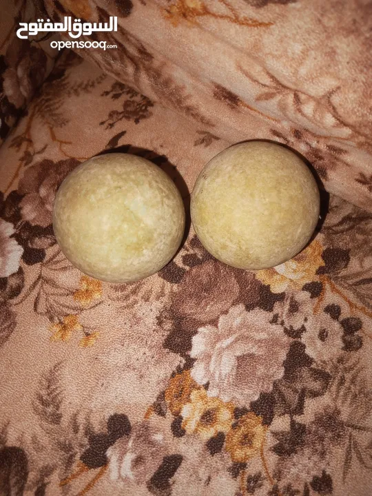 عشاق النوادر جوهرة الثعبان المضيئة