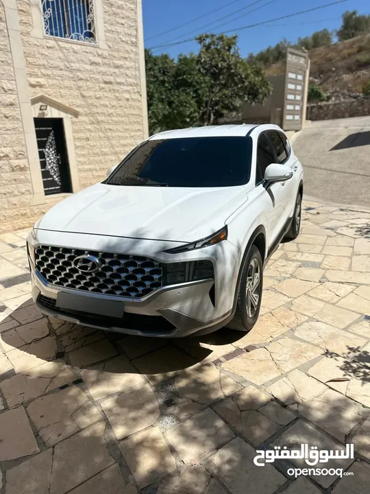 سانتفي 2020