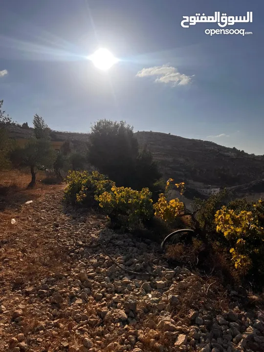 قطعة ارض مميزة في واد القف مرتفعة ومطلة