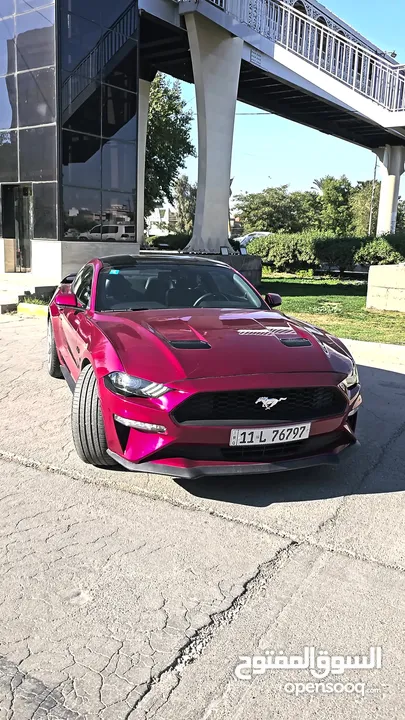 فورد موستنك ايكو بوست 2019 Ford Mustang Ecoboost