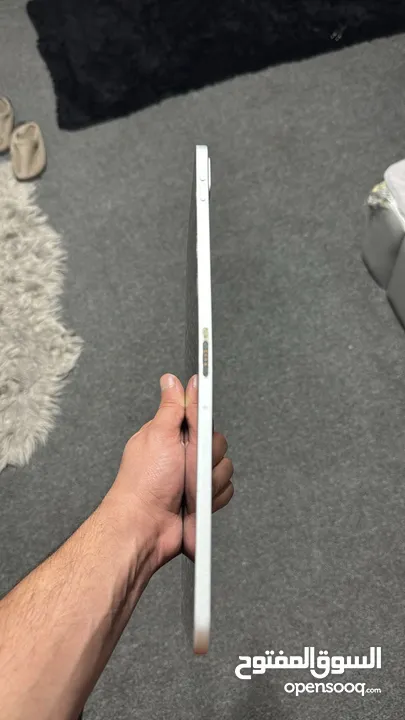 ipad apple pro