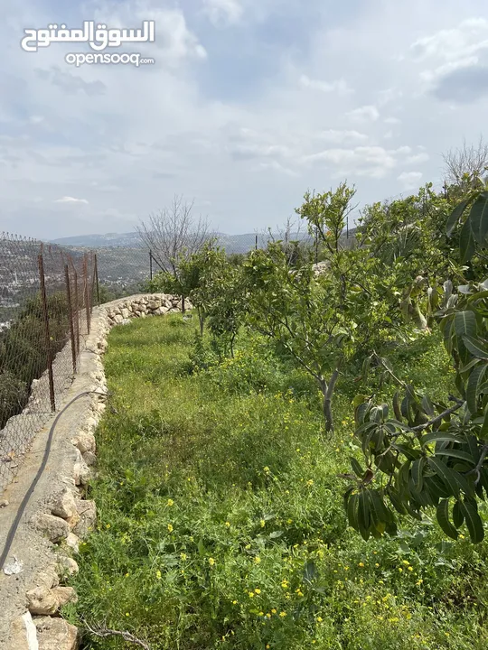 بيت ريفي مع مزرعة
