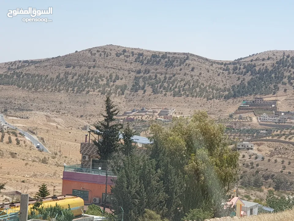 خمس دونمات في بيرين على شارعين بسعر مغري لفيلا او مزرعة