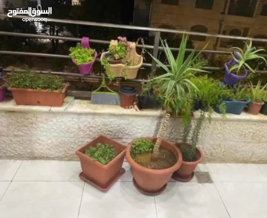 شقق الابيع جبل الحديد