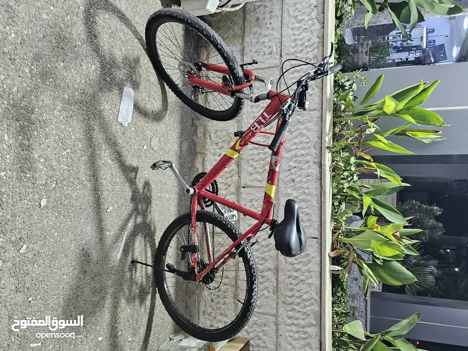 بسكليت ألماني ممتازه 26