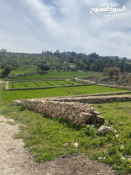 دنم ارض للبيع في السلط الصبيحي ميسره بالقرب من مطعم الطلع الغربيه