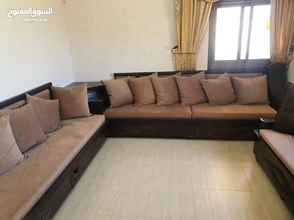 موريس خشب زان