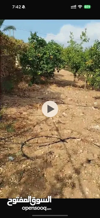 أرض زراعية او سكنية للبيع 2 دونم و 580 متر