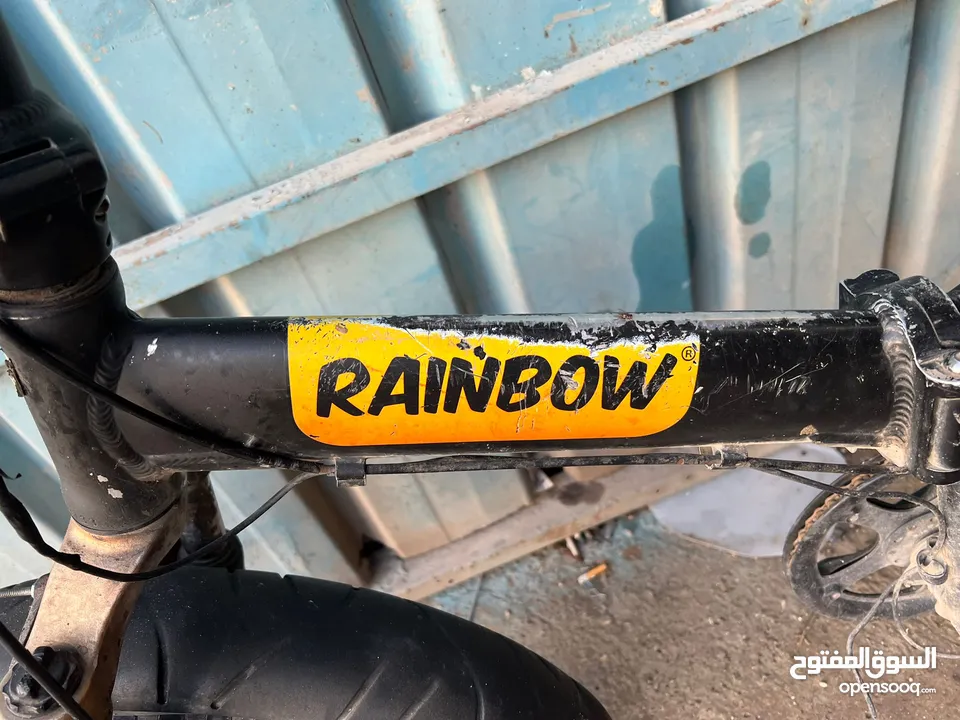 1200 عجل عريض