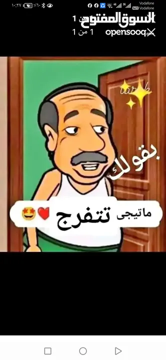 الحصان الأسود