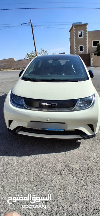BYD 2023 دولفين