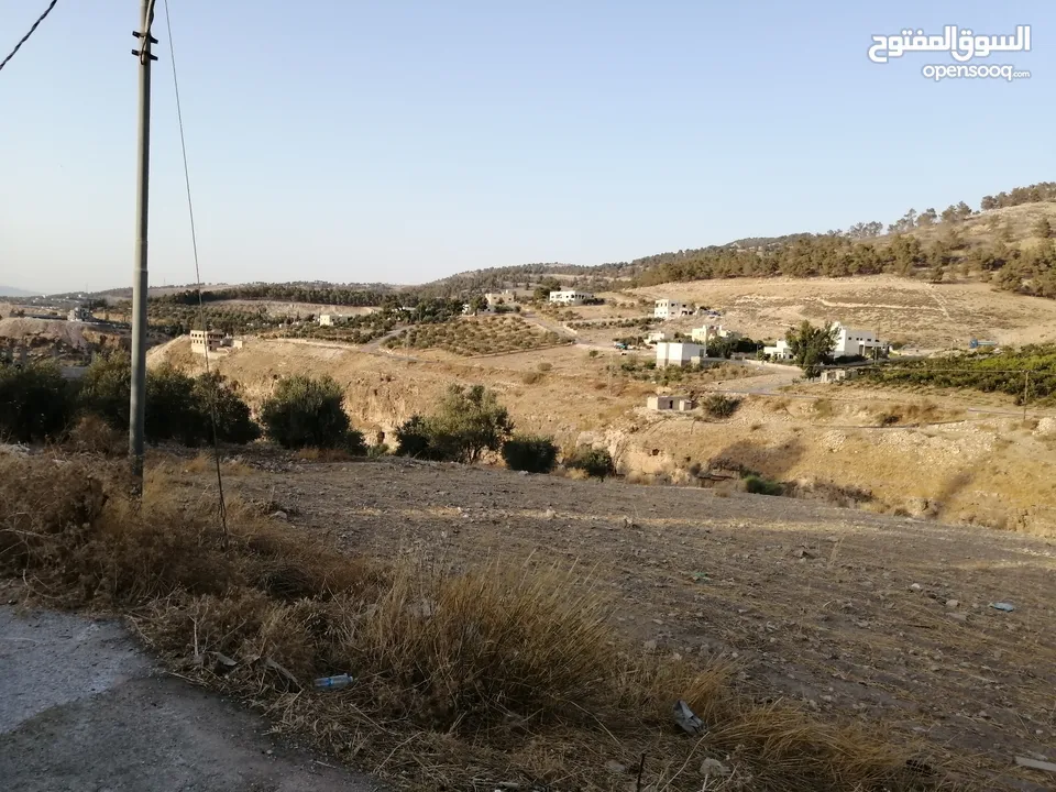 شارع الأردن اراضي شمال عمان السليحي نقدا او بالاقساط