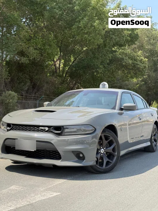 Dodge charger 2019 gt option (super track back).