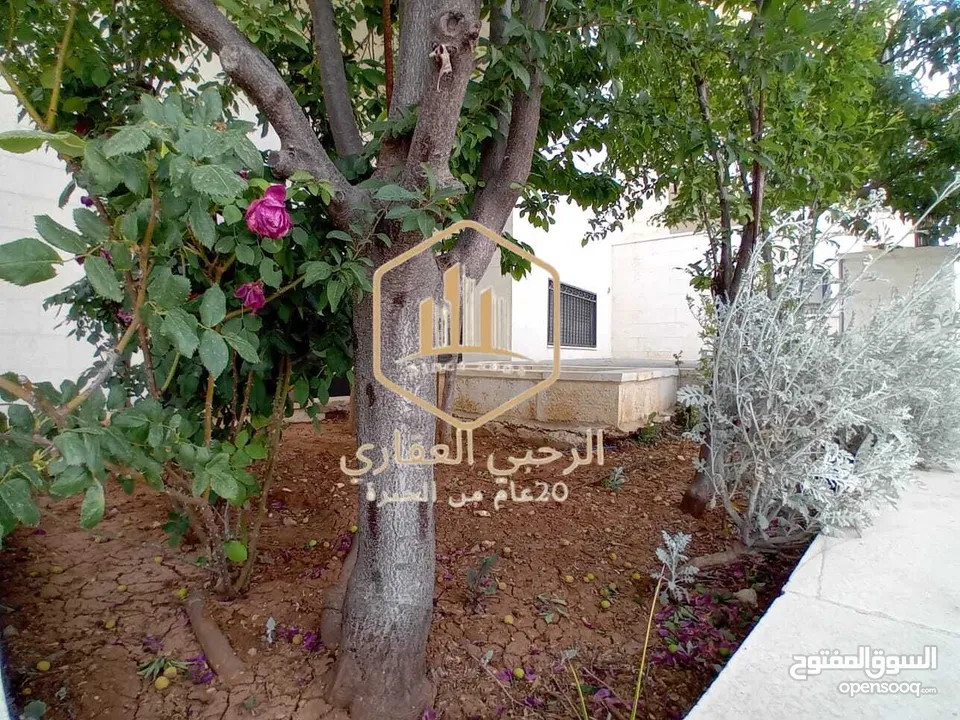 شقة / للايجار / 2نوم / سوبر ديلوكس / ارضية / دابوق