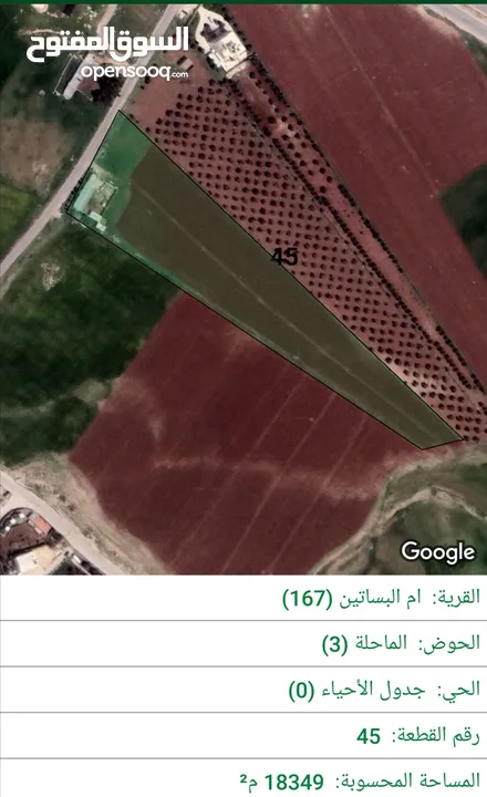 للبيع قطعة أرض 18.5 دونم في ام البساتين خلف جامعه الزيتونه