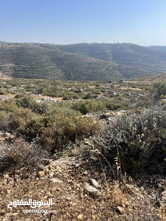 ارض مميزة للبيع في تلال عبوين وسنجل (تلال غرابة)