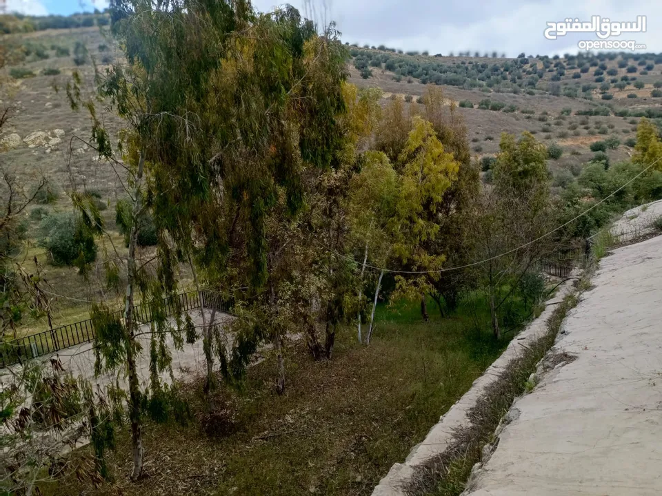 مزرعه مع 2 بيت ريفي مخدومه ماء وكهرباء مساحتها 4712