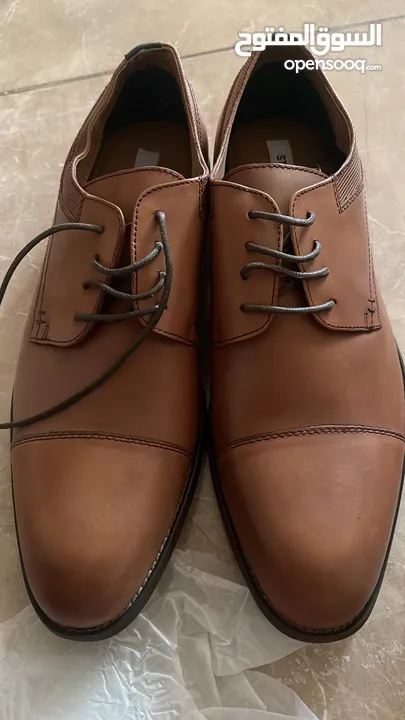 Steve Madden  / Clark’s original - Classic men shoes