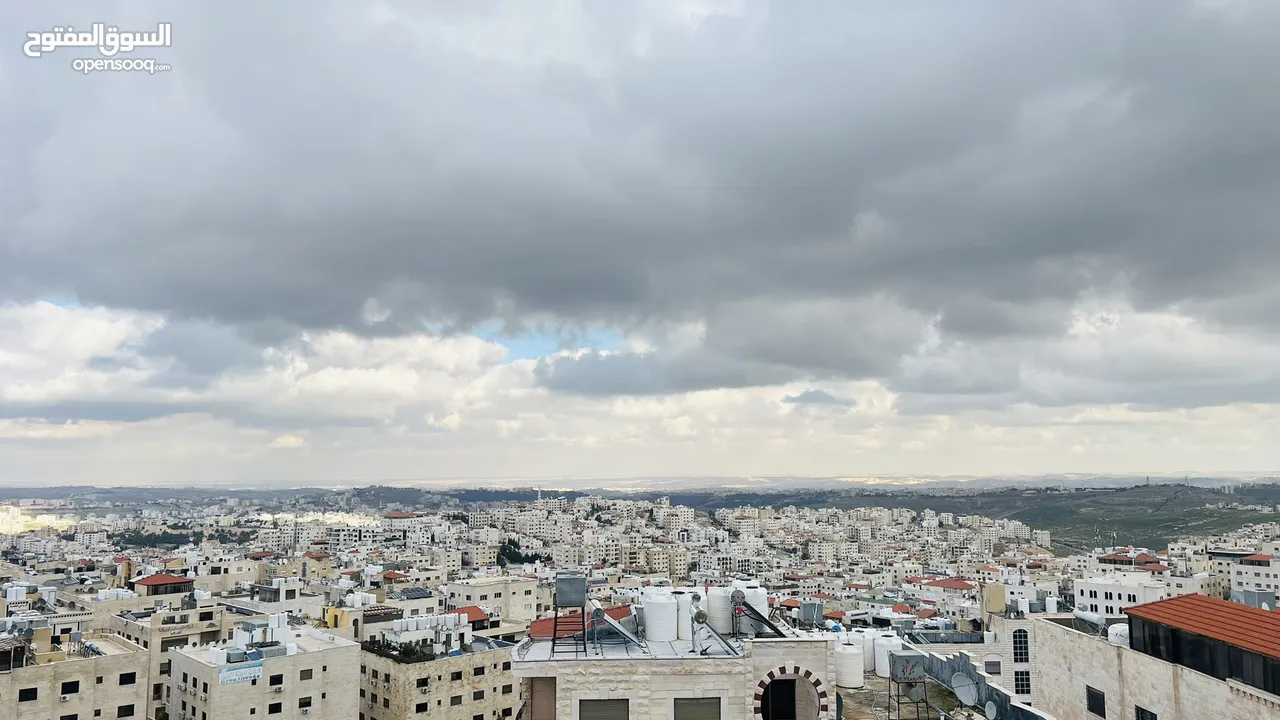 شقه فارغه للايجار ضاحية الرشيد