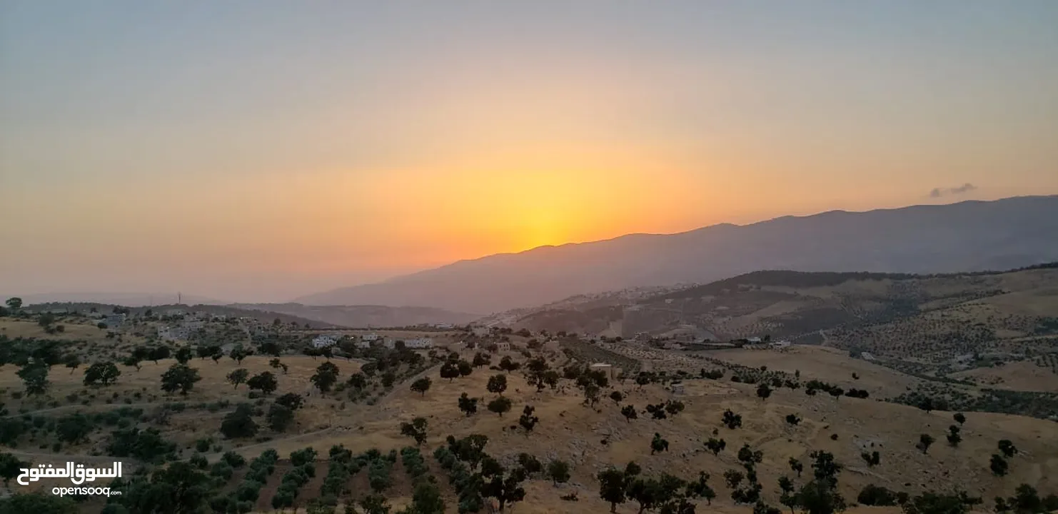 مزروعة نقبل جزاء من الثمن شقة