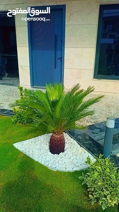 التقوى لتنسيق الحدائق