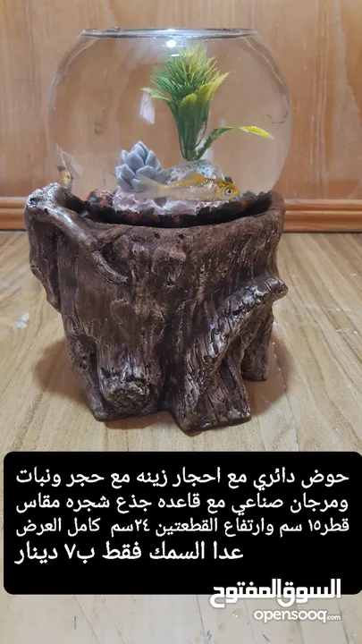 حواض مع قاعده