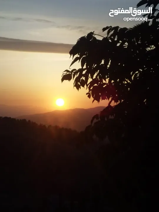 مزرعة شالية