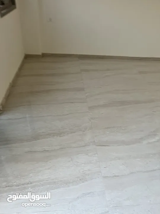 ضياء الشلة
