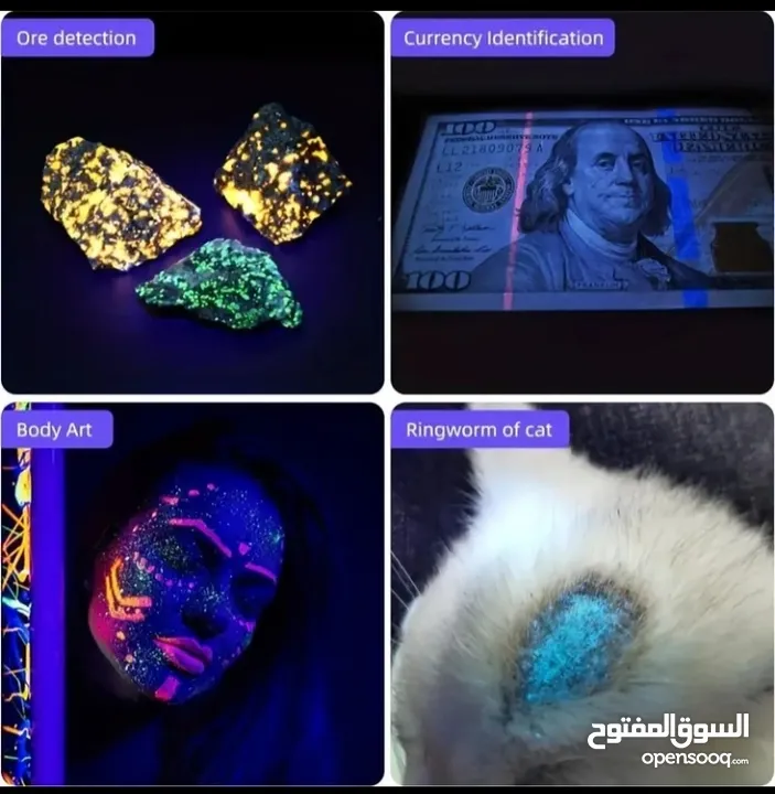 كاشف فطريات الحيوانات الأليفة لوكس UV أشعة فوق البنفسجية كشاف العقارب