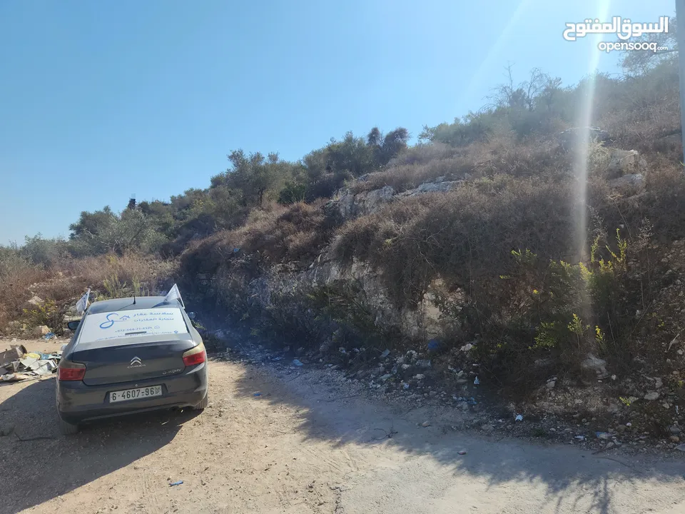 حصة في منطقة المشتل