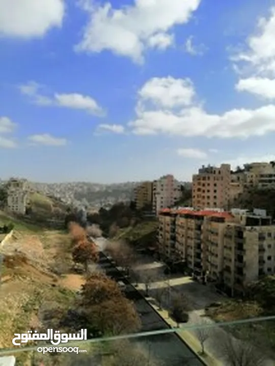 Duplex with Rooftop Apartment in Abdoun for Rent