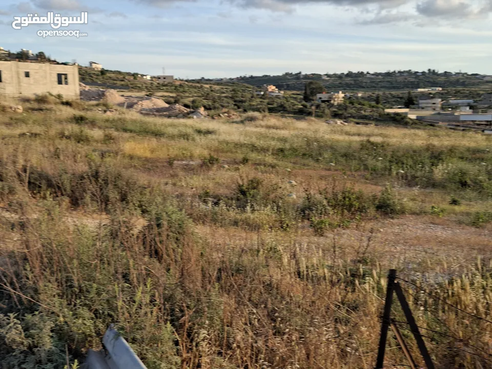 دونمين ارض طابوا فلسطنيني عاى الشارع الرئيسي مباشرة طولكرم الراس