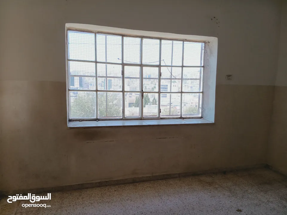 شقة للإيجار