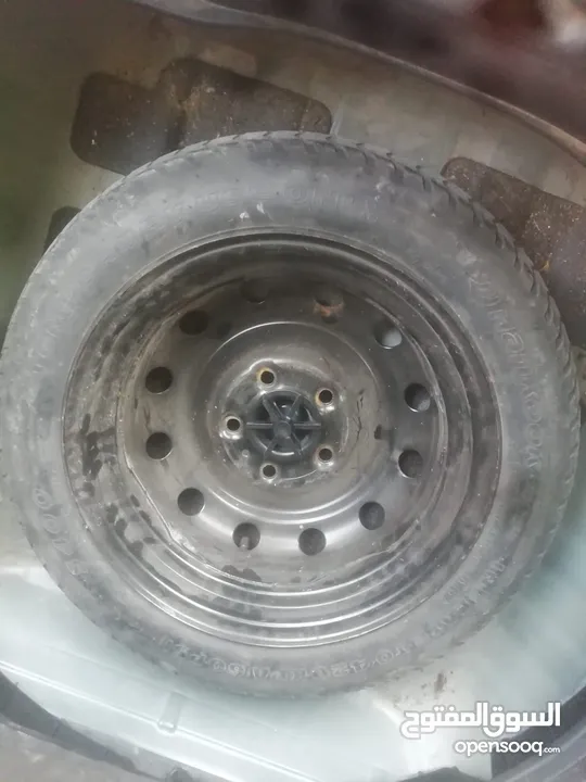عجل سبير رفيع