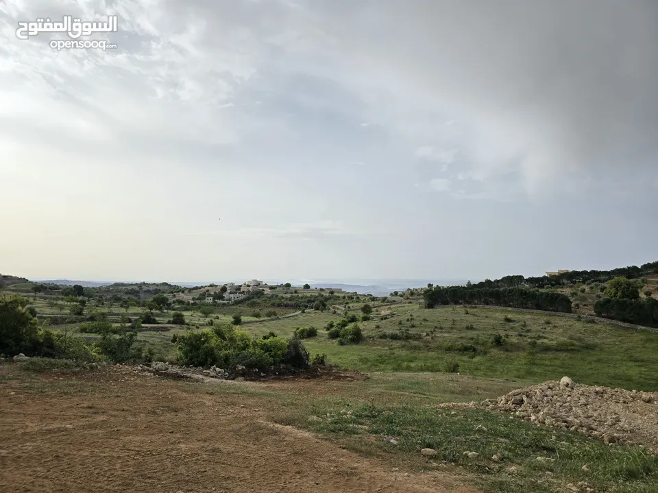 غرب سوف سهلات الغربيه قرب قصر السفير الاماراتي منطقه فلل و مزارع راقيه
