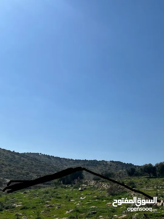 قطعة ارض مرتفة ومميزة للبيع