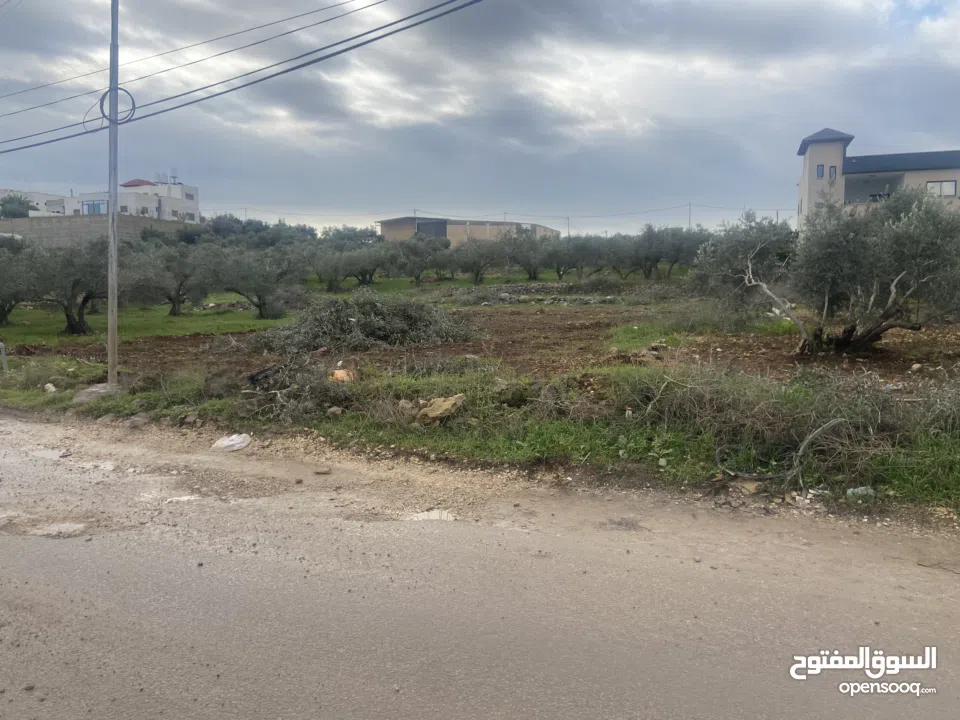 تجاري شارع رئيسي بين اكتابا وباعا