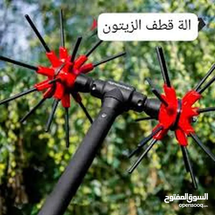 الة قطف الزيتون