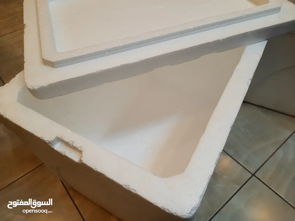 ايس بوكس فلين