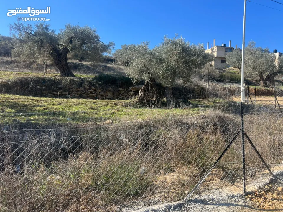 كوبر / ارض للبيع واصلها جميع الخدمات