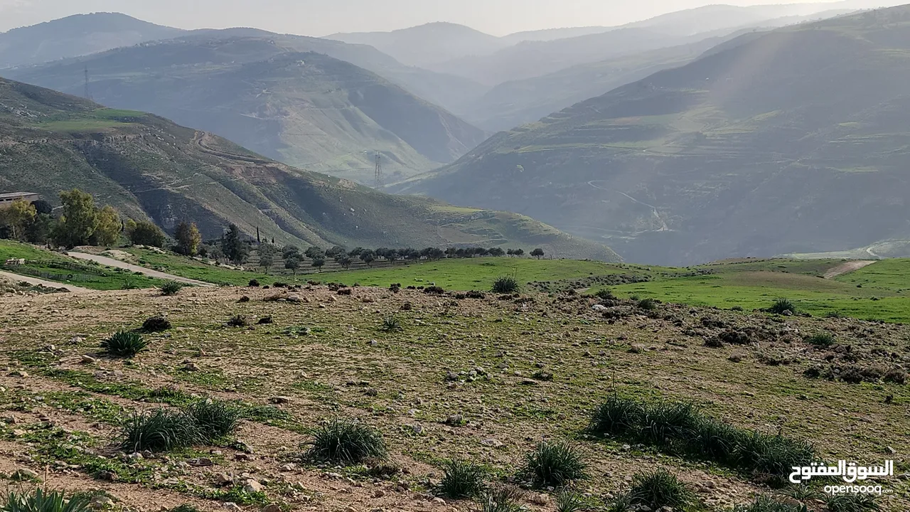 تل الرمان شمال عمان