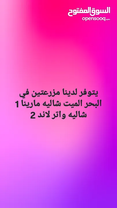 مزارع وشاليهات مارينا و. ووتر لاند البحر الميت