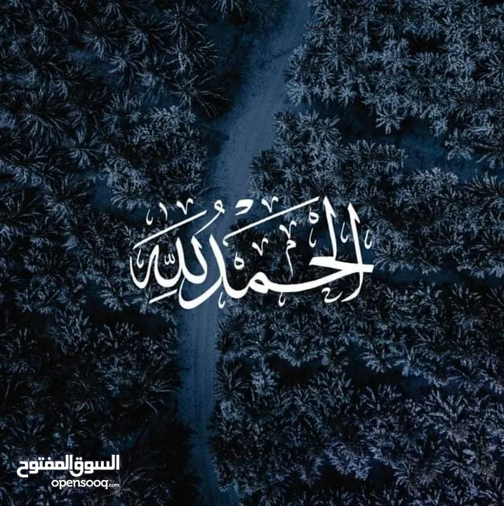 جوز حمام ماسي تحته بيض مع قفص ثلاث معالف للبيع او البدل على جواز جنة