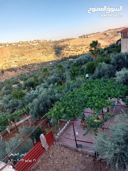 للبيع في السلط المغاريب شاليه مع مزرعه مع بركة سباحه بسعر مغري جدا