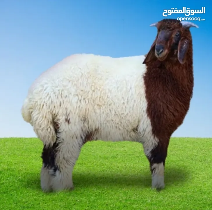 لحام متنقل