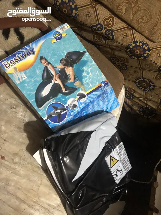 بلون البحر دلفيل