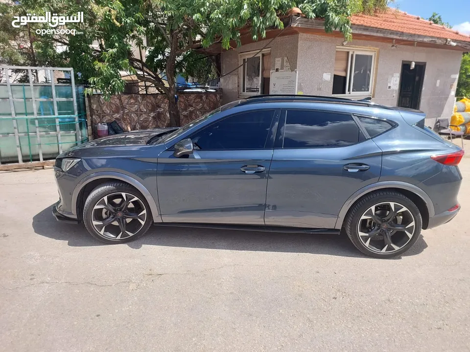 سيات فورمنتور كوبرا