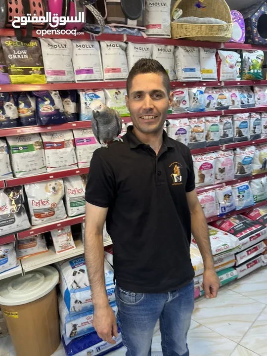 كاسكو حجل دهبي أليف متكلم راقص هدد تابع الوصف